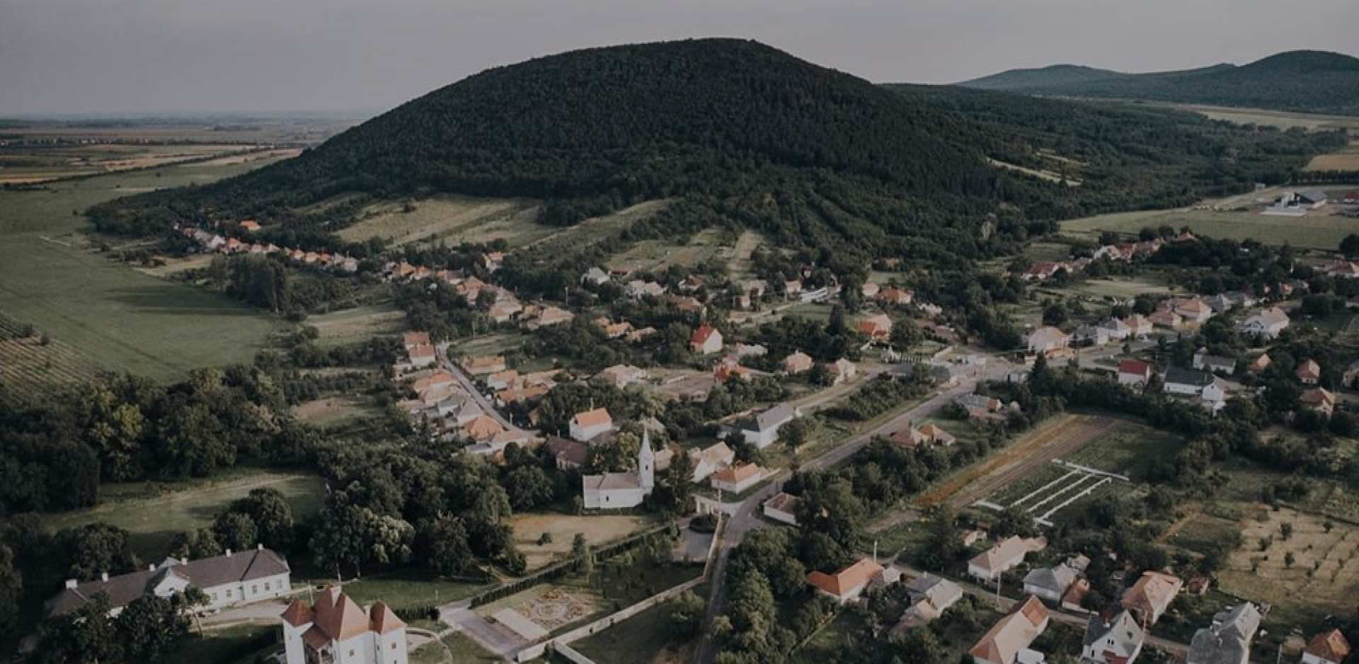 (forrás: www.golop.hu )